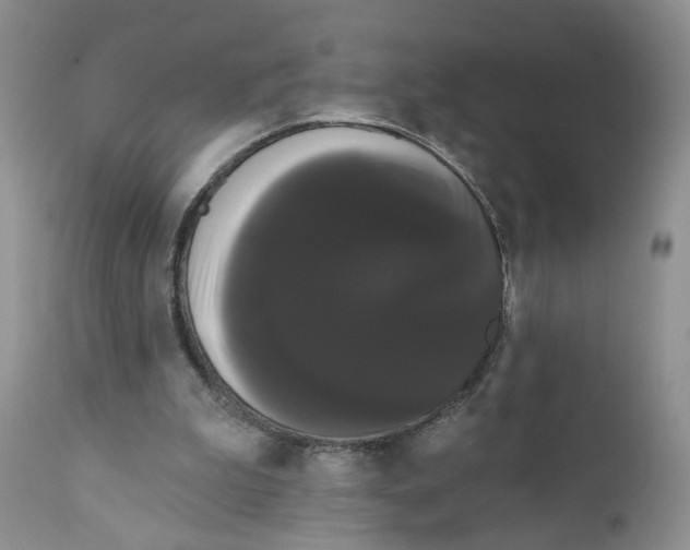 X0000111910199200908241035