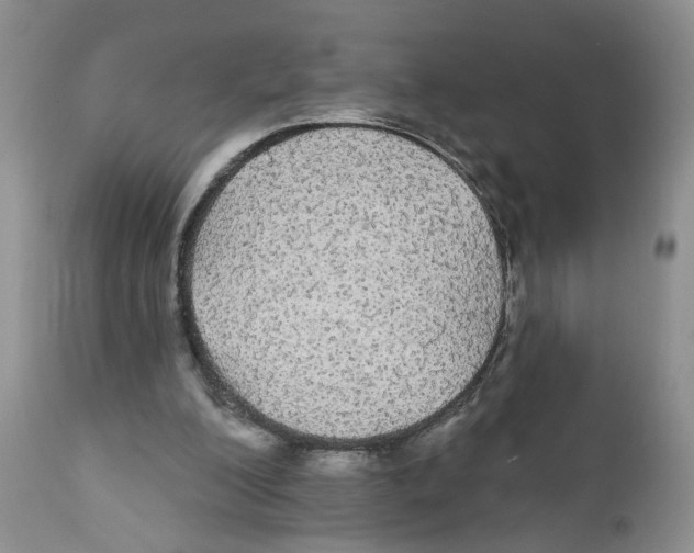 X0000111910200200908241035