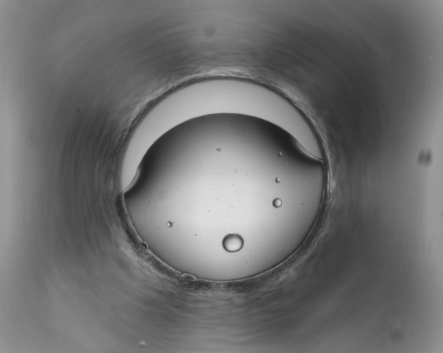 X0000111910201200908241035
