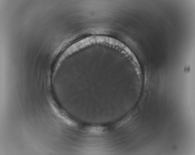 X0000111910202200908241035
