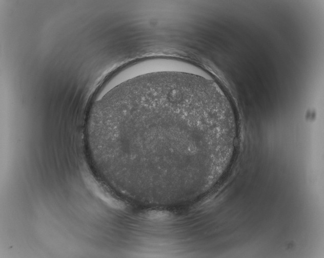 X0000111910203200908241035