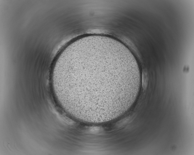 X0000111910204200908241035