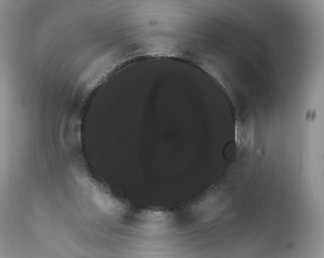 X0000111910205200908241035