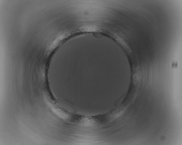 X0000111910207200908241035