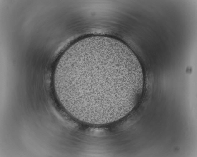 X0000111910208200908241035