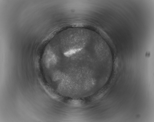 X0000111910209200908241035