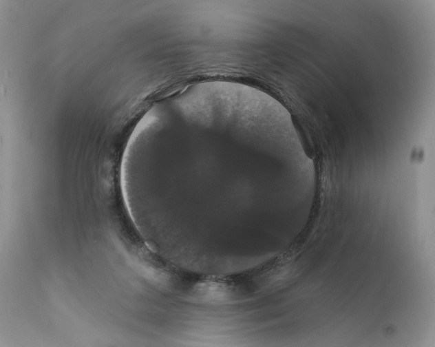 X0000111910211200908241035