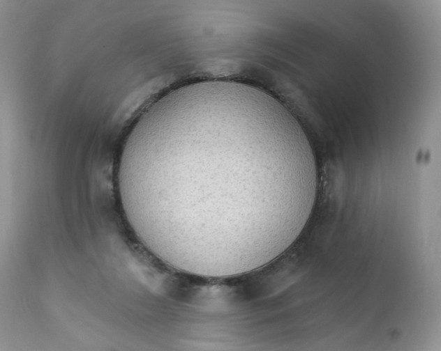 X0000111910212200908241034