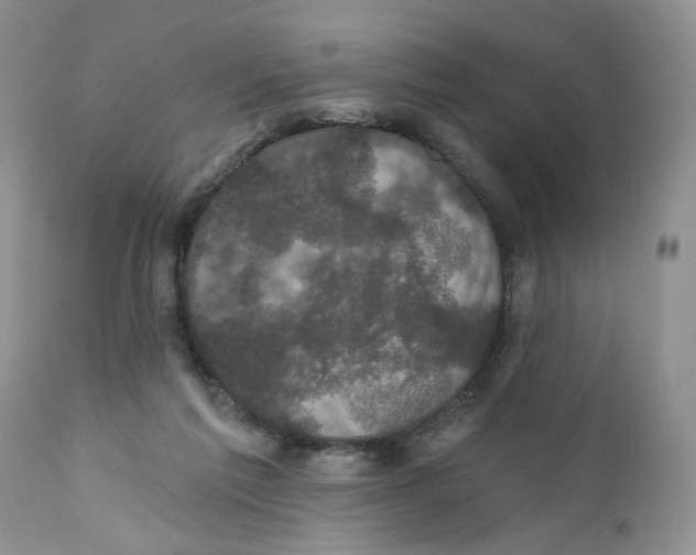 X0000111910213200908241034