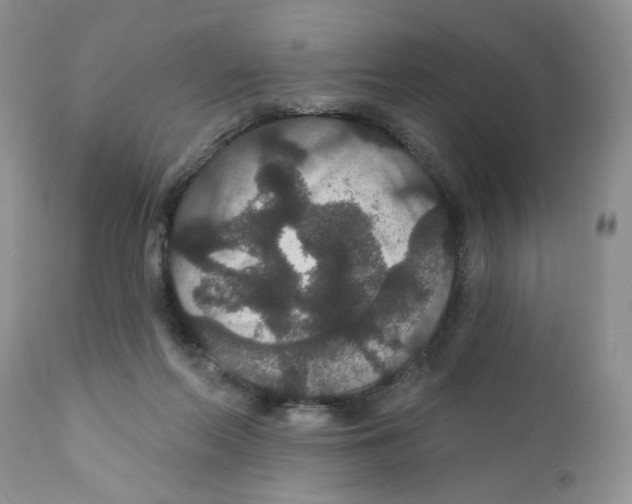 X0000111910214200908241034