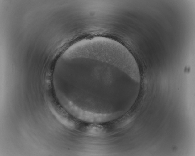 X0000111910215200908241034