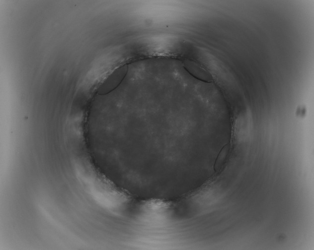 X0000111910217200908241034
