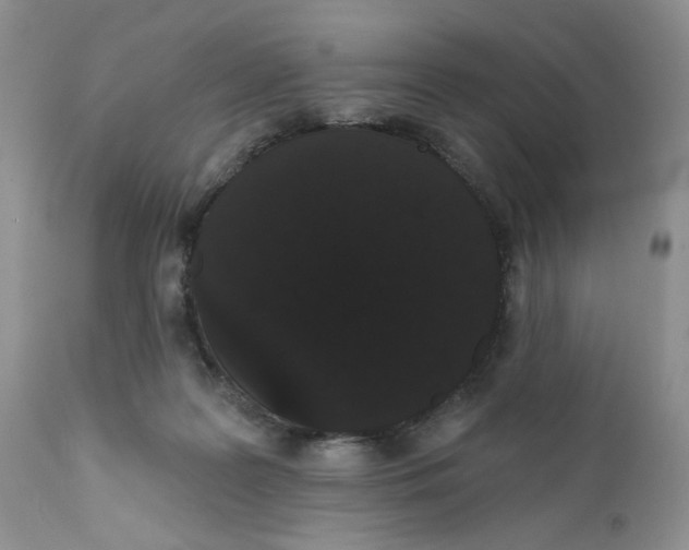 X0000111910219200908241034