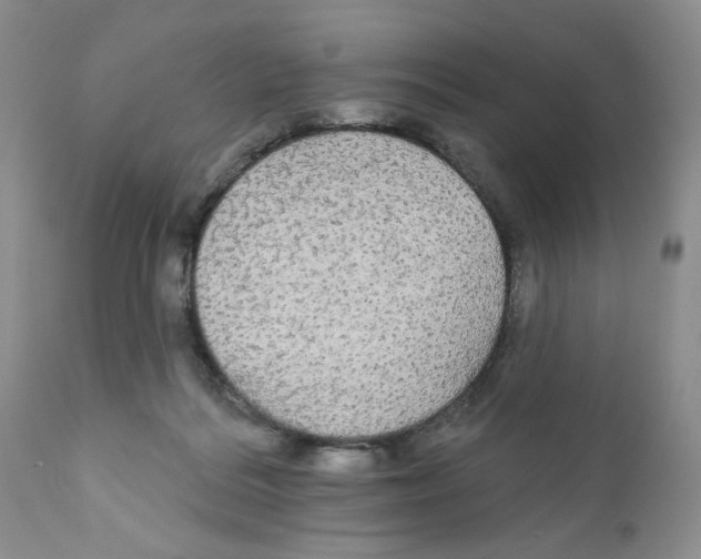 X0000111910220200908241034