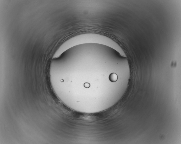 X0000111910221200908241034
