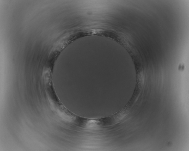 X0000111910222200908241034