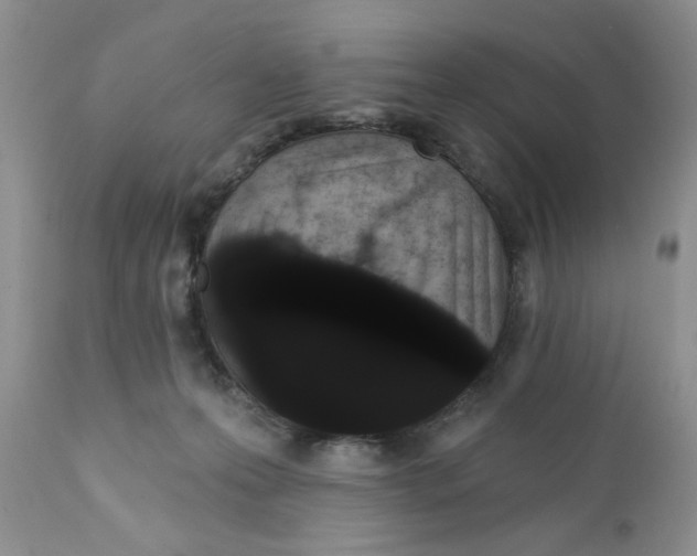 X0000111910223200908241034
