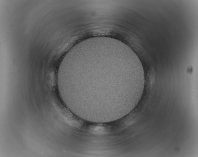X0000111910224200908241034