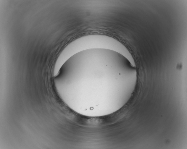 X0000111910225200908241034