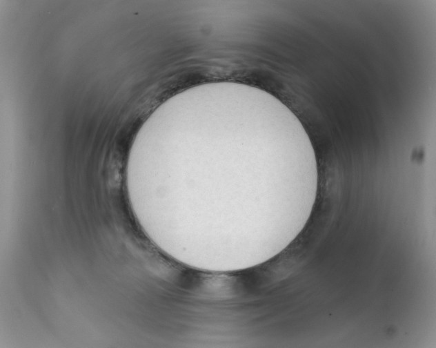 X0000111910226200908241034