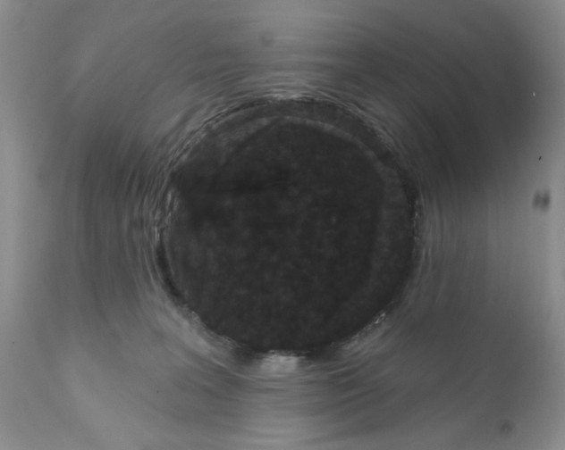 X0000111910227200908241034