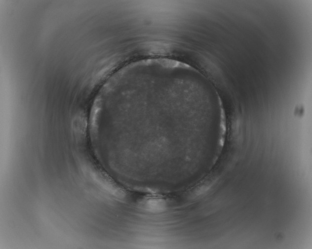 X0000111910228200908241034