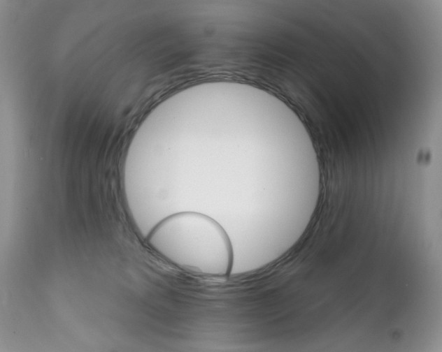 X0000111910229200908241034
