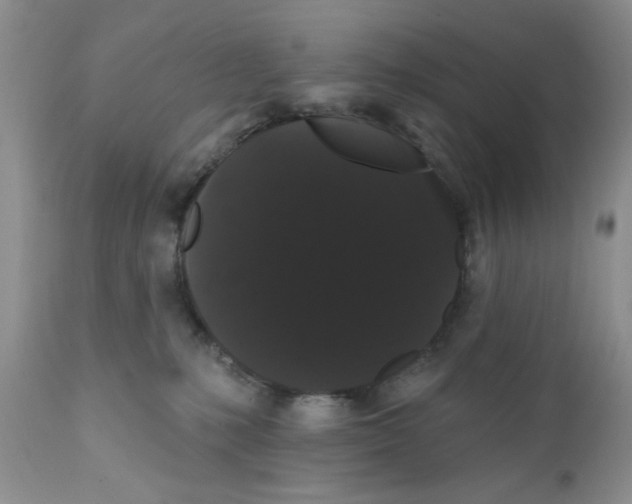X0000111910231200908241034
