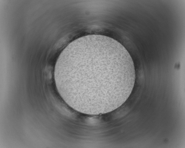 X0000111910232200908241034