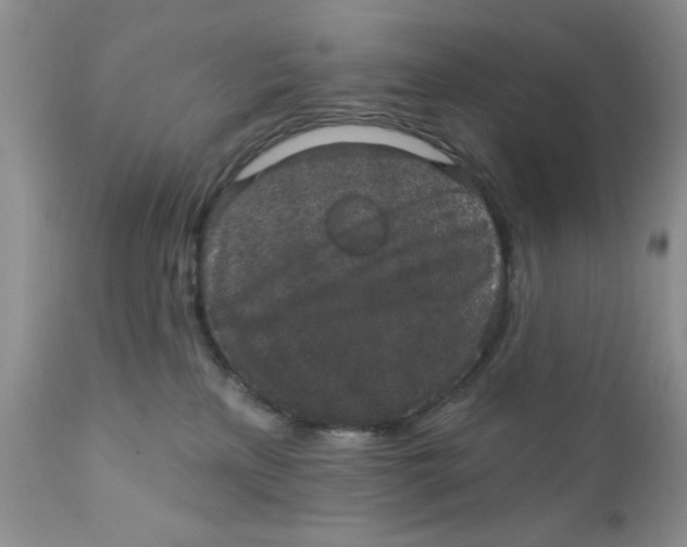 X0000111910233200908241034