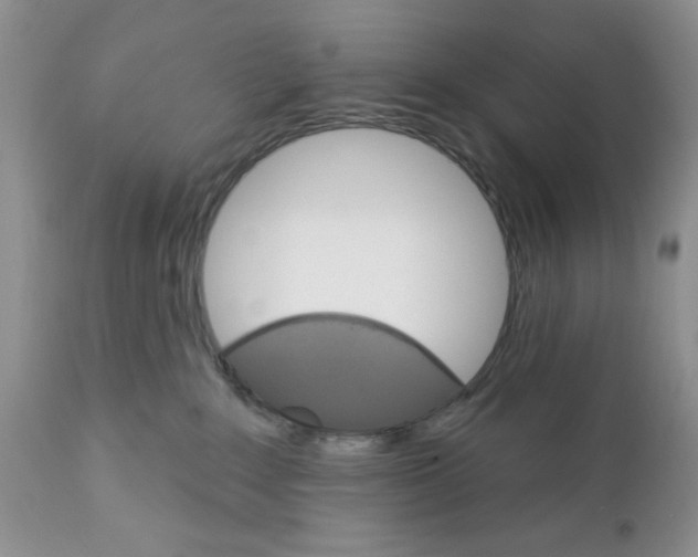 X0000111910235200908241034
