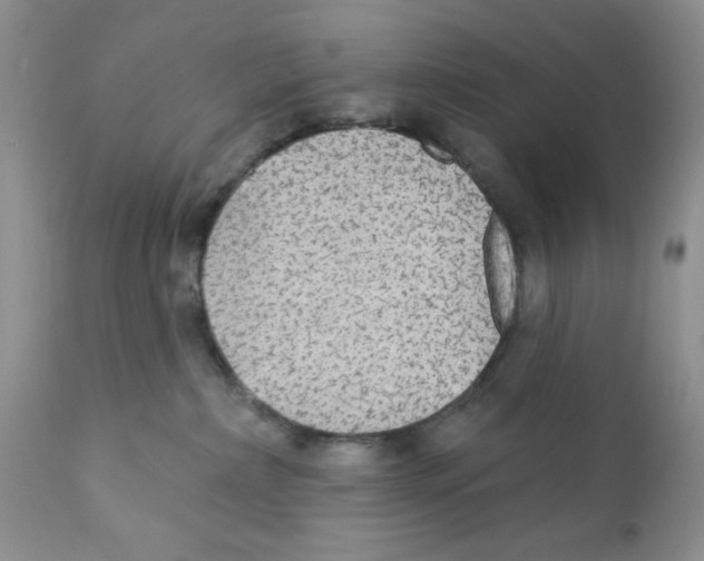 X0000111910236200908241034