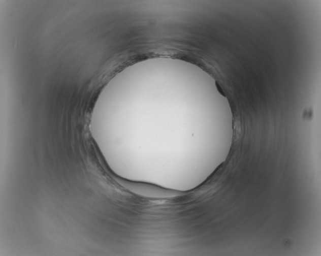 X0000111910237200908241034