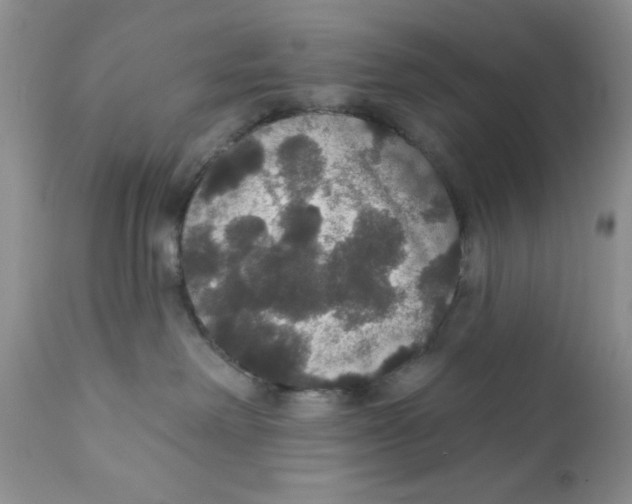 X0000111910238200908241034
