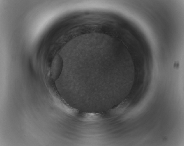 X0000111910239200908241034