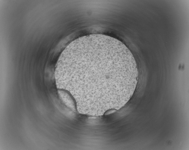 X0000111910240200908241034