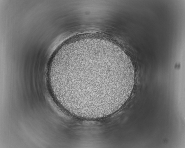 X0000111910242200908241033