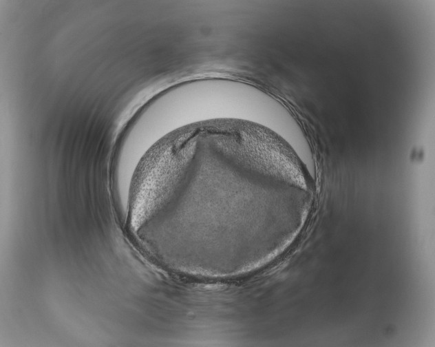 X0000111910244200908241033