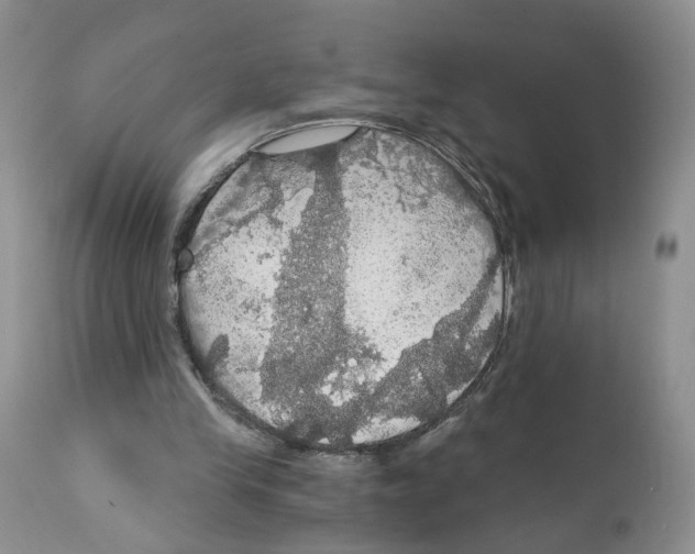 X0000111910245200908241033