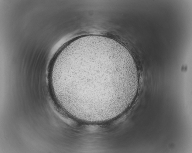 X0000111910246200908241033