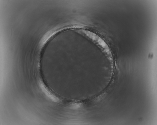 X0000111910247200908241033