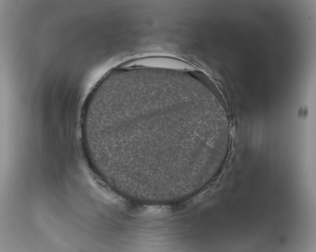 X0000111910248200908241033