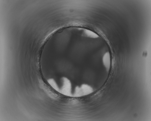 X0000111910249200908241033