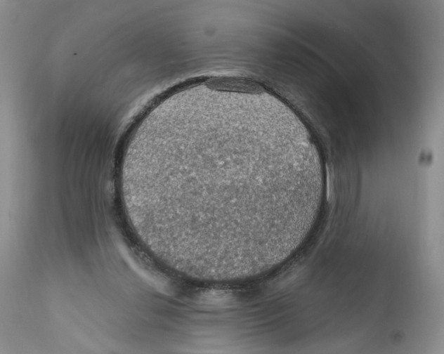 X0000111910252200908241033