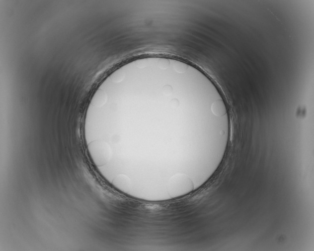 X0000111910253200908241033