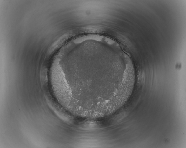 X0000111910254200908241033