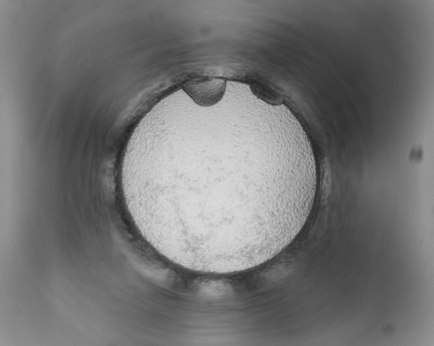 X0000111910258200908241033
