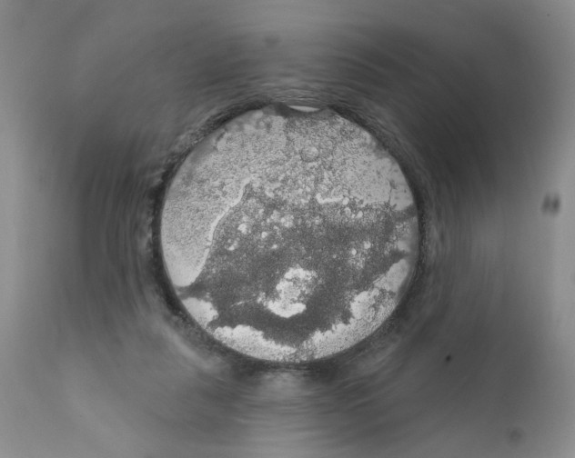 X0000111910259200908241033