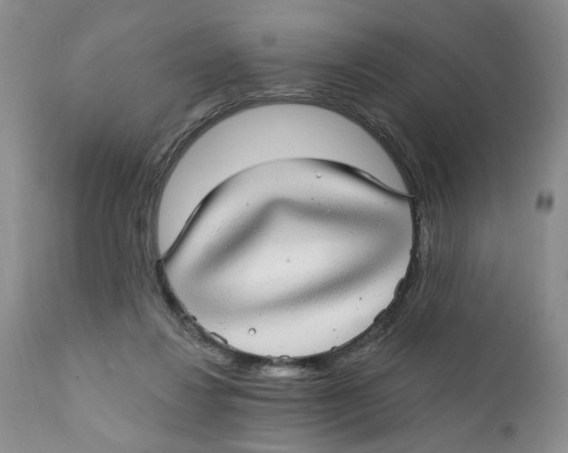 X0000111910260200908241033