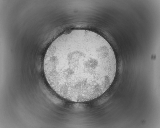 X0000111910261200908241033